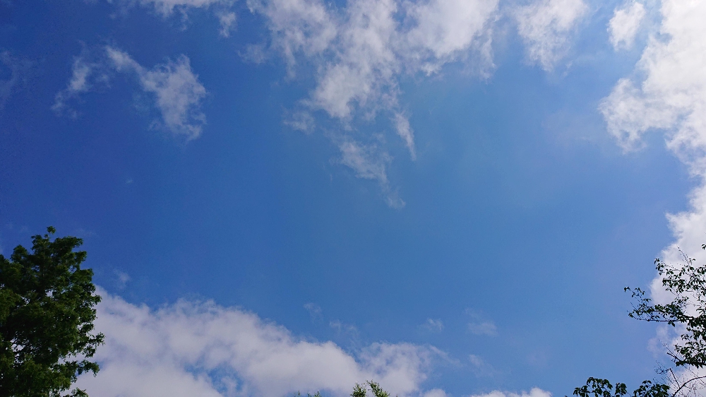 雨の合間に